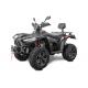 ATV Linhai 500 ProMax T3B, 500cc, inmatriculabil, culoare negru